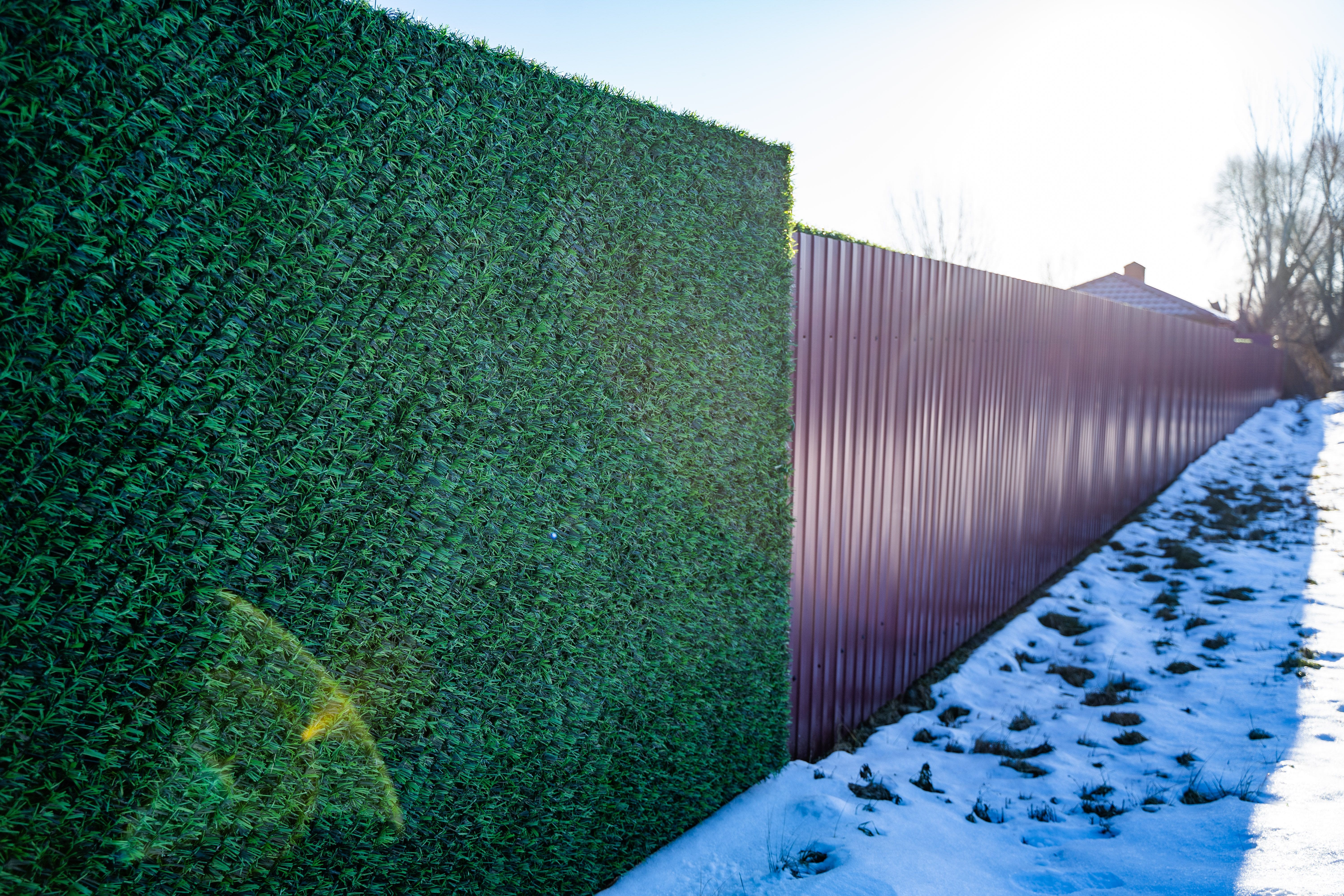 Вечнозеленый забор Grass Fence рулон 2м фото 11 в Донецке