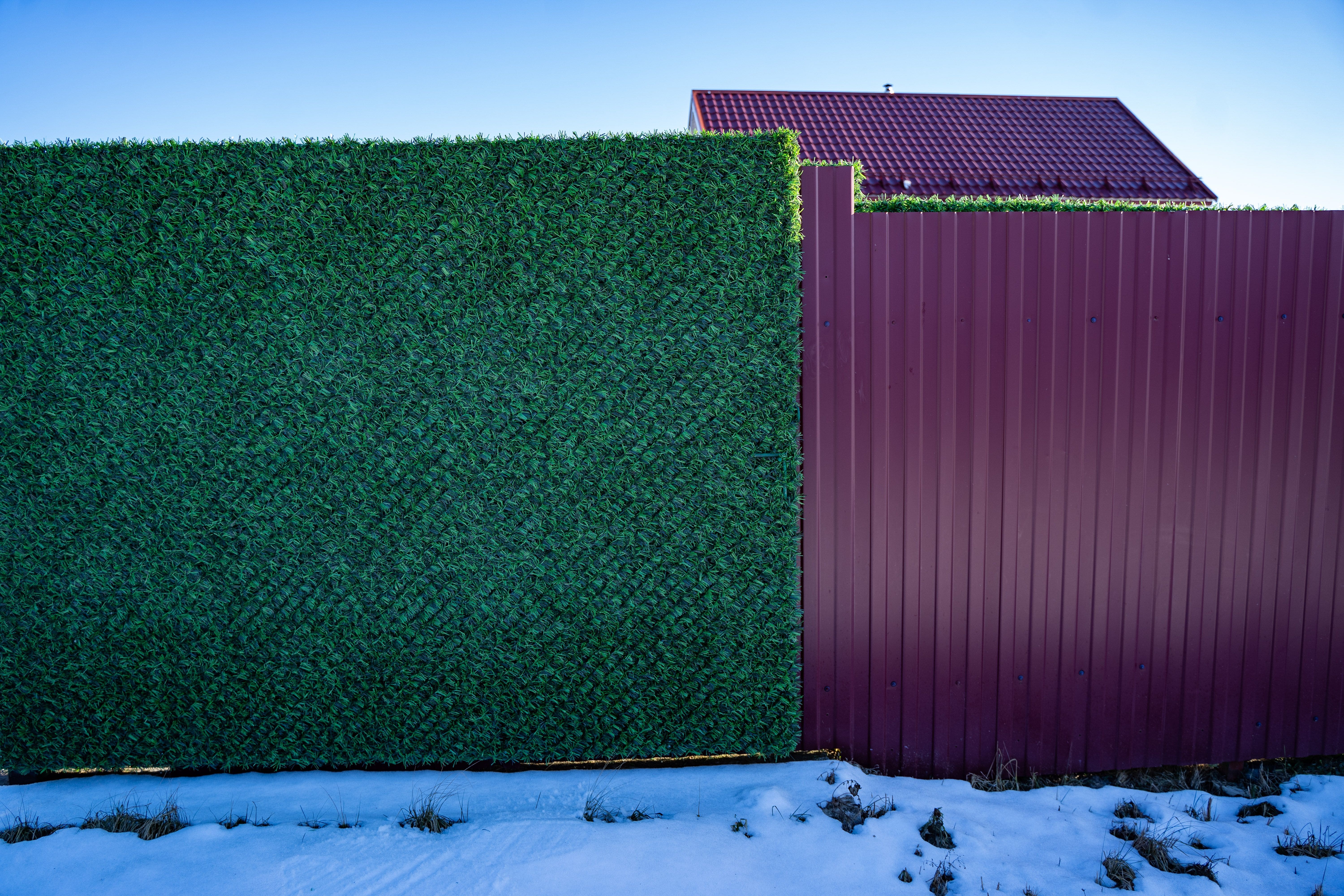 Вечнозеленый забор Grass Fence рулон 2м фото 2 в Донецке