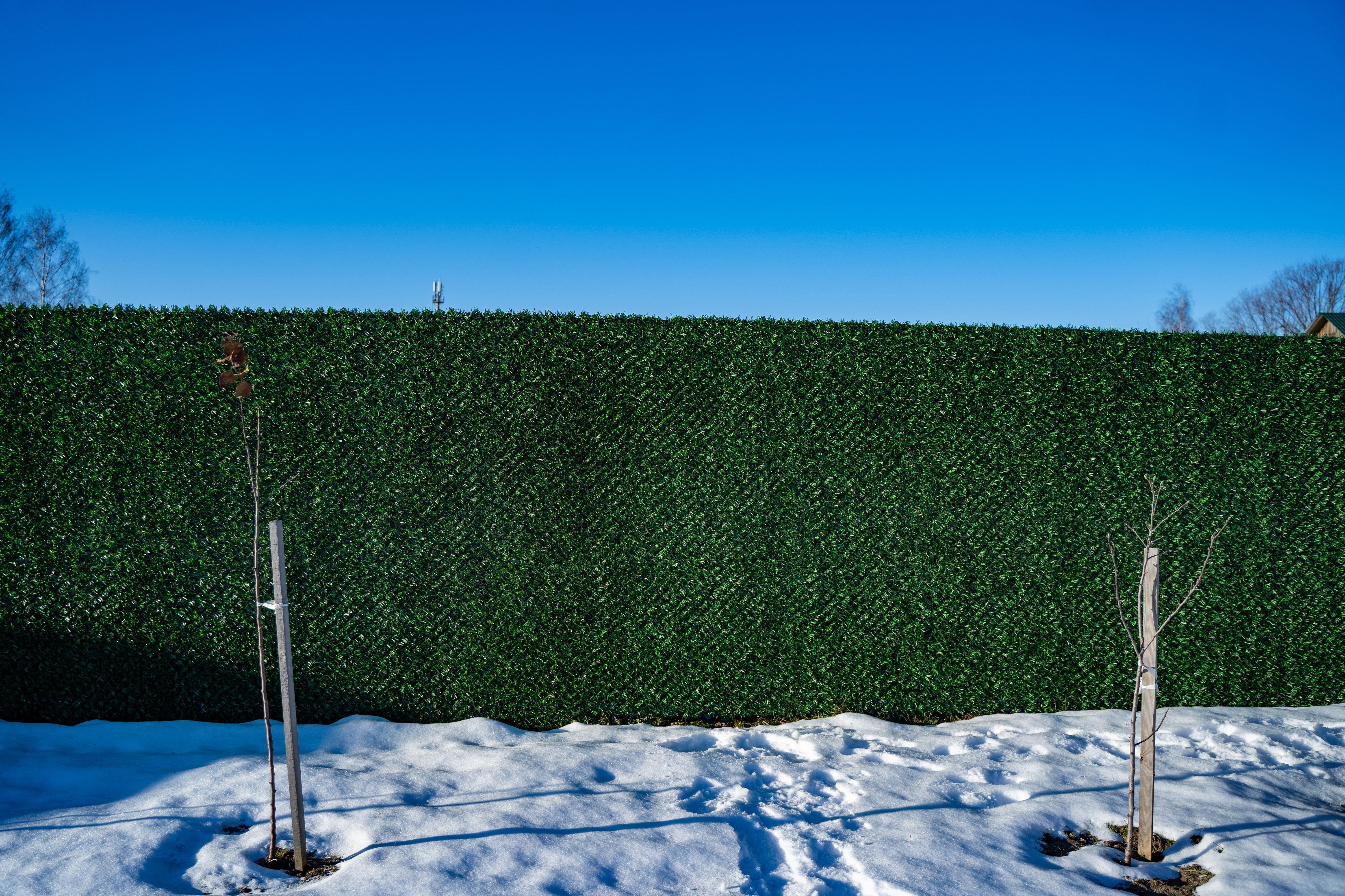 Вечнозеленый забор Grass Fence рулон 2м фото 8 в Донецке